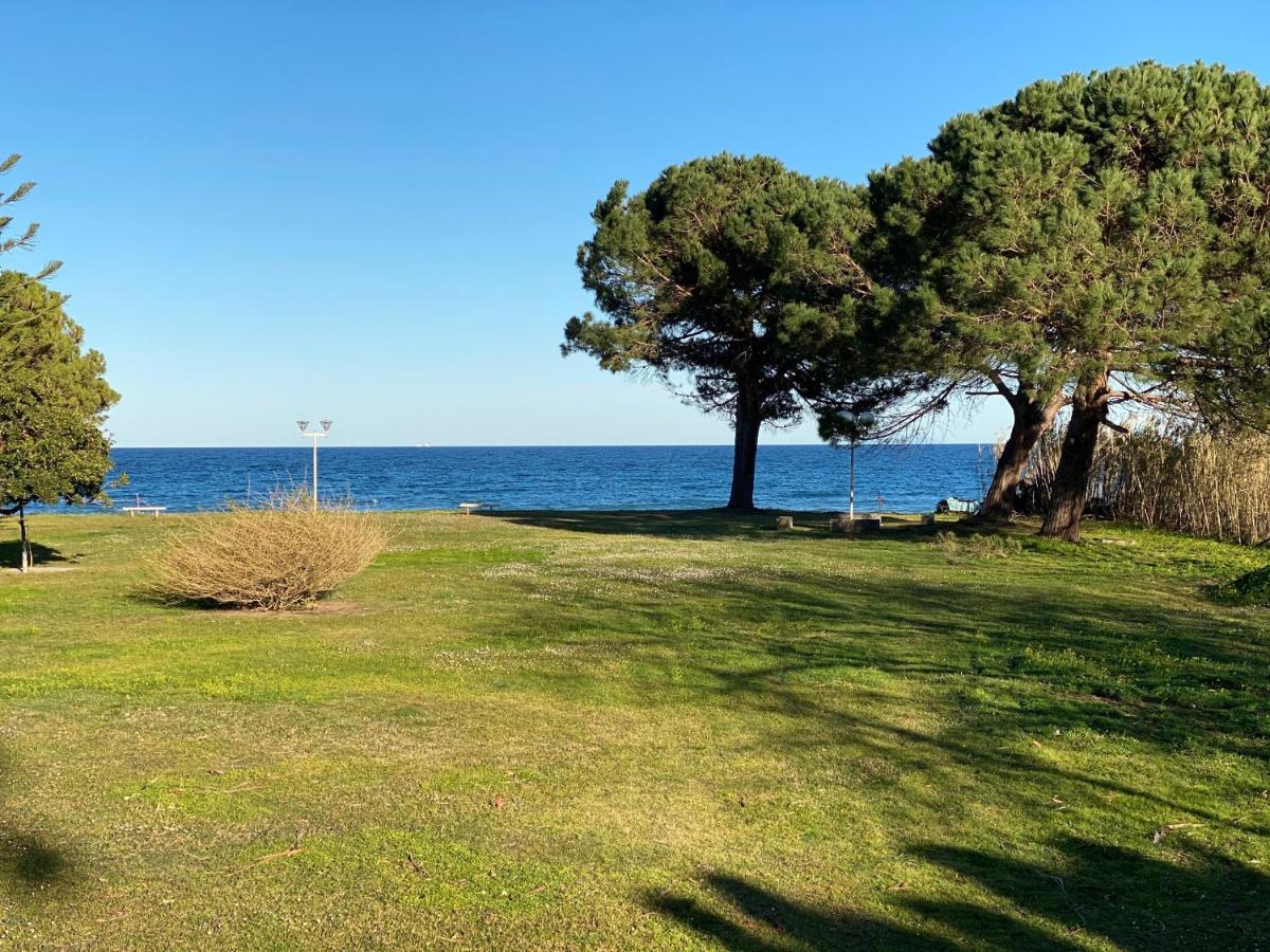 Residence Santa Lucia, Studio Avec Piscine , Vue Mer Et Pied Dans L'Eau , Moriani-Plage المظهر الخارجي الصورة